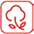 Хлопок